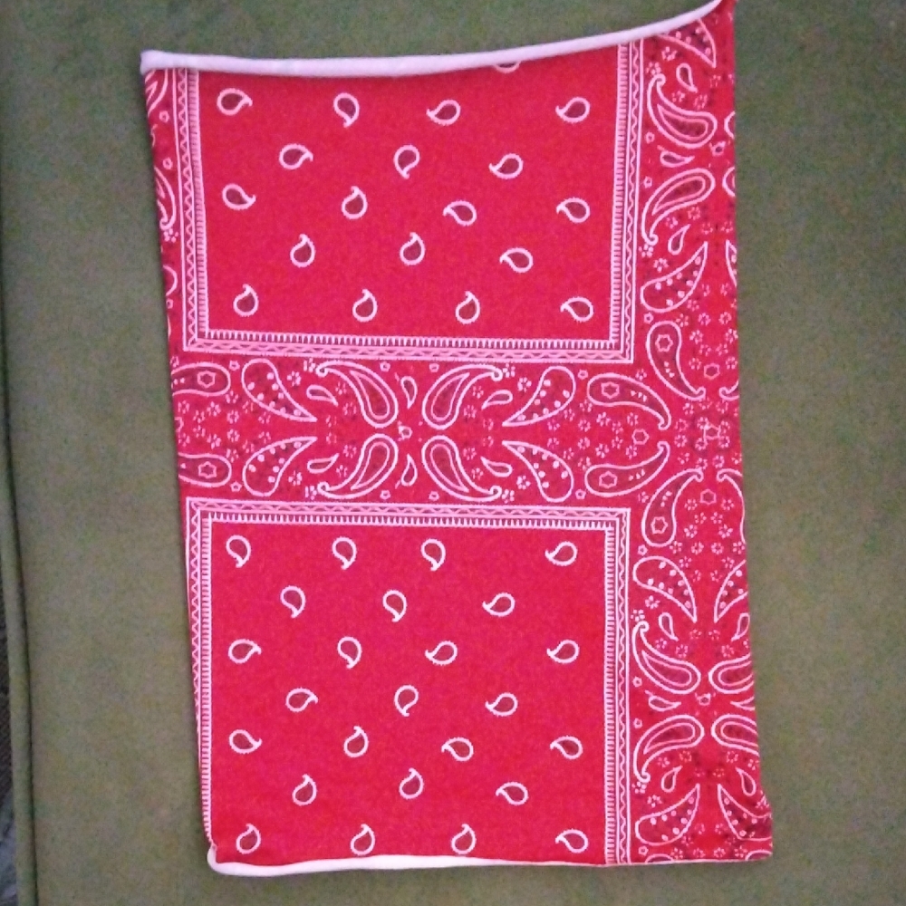 Red Paisley gaitor